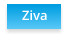 Ziva