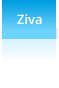 Ziva