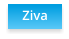 Ziva