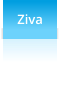 Ziva